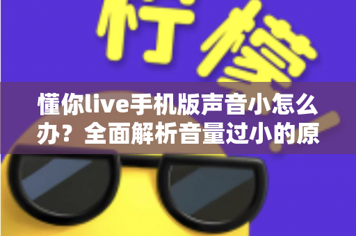 懂你live手机版声音小怎么办？全面解析音量过小的原因与实用解决方法