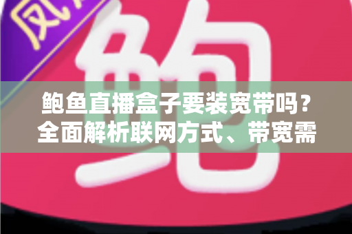 鲍鱼直播盒子要装宽带吗？全面解析联网方式、带宽需求与安装指南