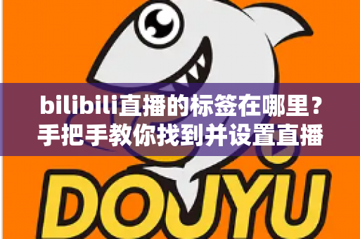 bilibili直播的标签在哪里？手把手教你找到并设置直播标签的完整指南