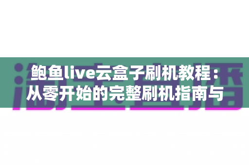 鲍鱼live云盒子刷机教程：从零开始的完整刷机指南与避坑手册