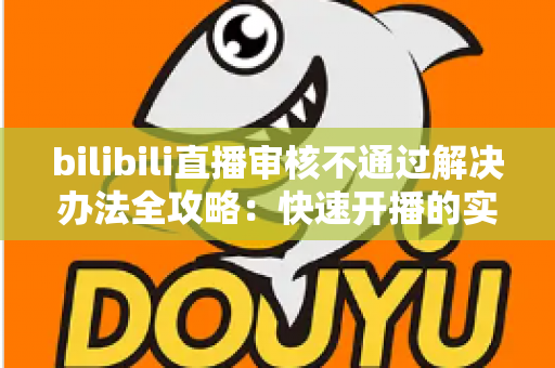 bilibili直播审核不通过解决办法全攻略：快速开播的实用指南与避坑经验分享