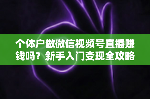 个体户做微信视频号直播赚钱吗？新手入门变现全攻略与真实收益解析