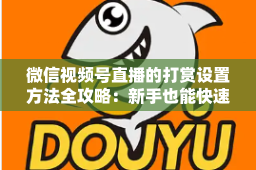 微信视频号直播的打赏设置方法全攻略：新手也能快速开启直播变现之路