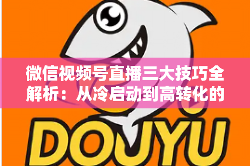微信视频号直播三大技巧全解析:从冷启动到高转化的实战涨粉攻略 微信视频号直播三大技巧全解析:从冷启动到高转化的实战涨粉攻略