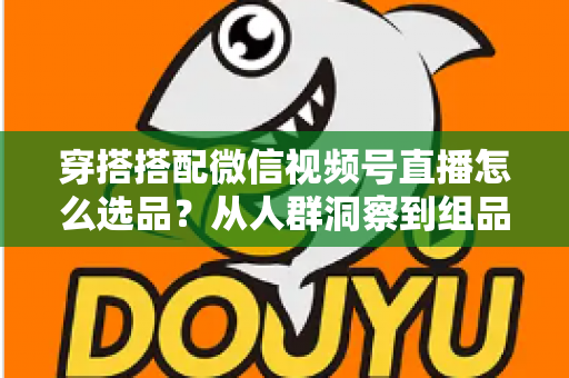穿搭搭配微信视频号直播怎么选品?从人群洞察到组品策略的高转化选品全指南 穿搭搭配微信视频号直播怎么选品?从人群洞察到组品策略的高转化选品全指南