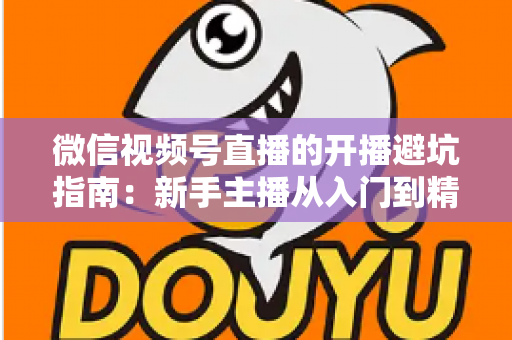 微信视频号直播的开播避坑指南：新手主播从入门到精通的全面避雷手册