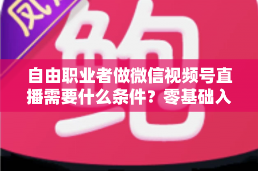 自由职业者做微信视频号直播需要什么条件?零基础入门与变现全攻略 自由职业者做微信视频号直播需要什么条件?零基础入门与变现全攻略
