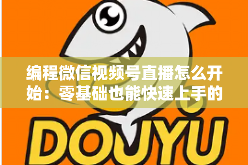 编程微信视频号直播怎么开始：零基础也能快速上手的开播全攻略