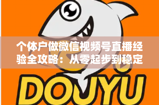 个体户做微信视频号直播经验全攻略：从零起步到稳定出单的实战心得