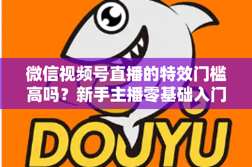 微信视频号直播的特效门槛高吗？新手主播零基础入门与特效使用全攻略解析