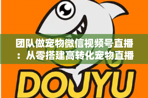 团队做宠物微信视频号直播：从零搭建高转化宠物直播间的完整实战指南