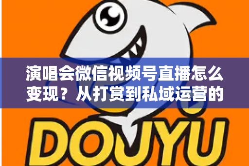 演唱会微信视频号直播怎么变现？从打赏到私域运营的全链路赚钱指南