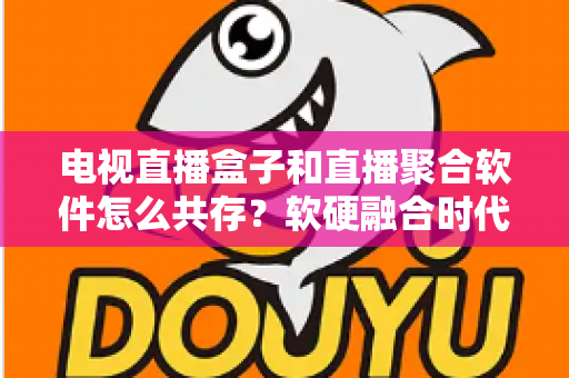 电视直播盒子和直播聚合软件怎么共存？软硬融合时代的大屏观看生态全解析