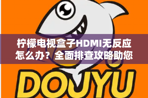 柠檬电视盒子HDMI无反应怎么办？全面排查攻略助您快速恢复高清观影体验